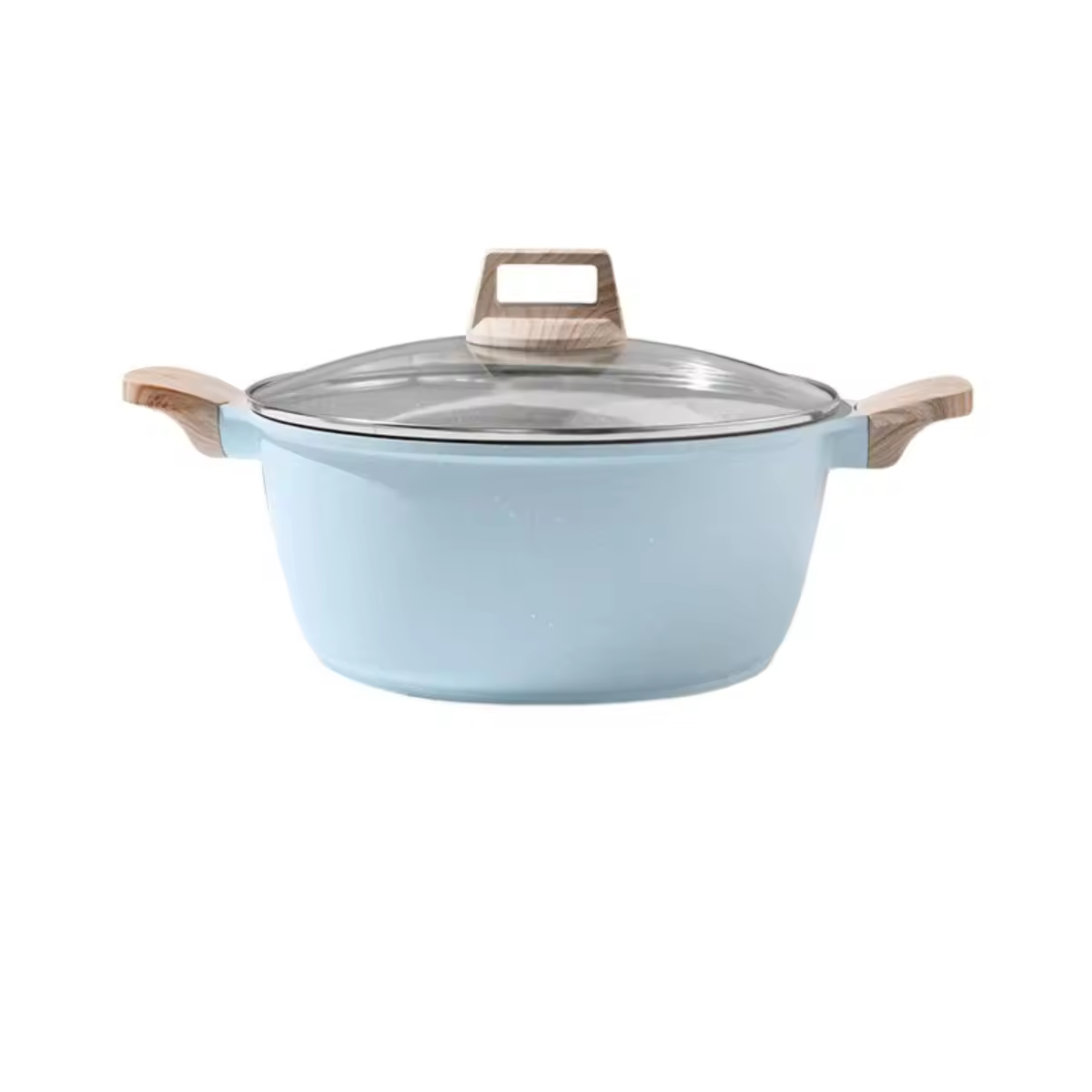 Leerpan 두 귀 비 스틱 라운드 플랫 바닥 주방 조리기구 주철 냄비